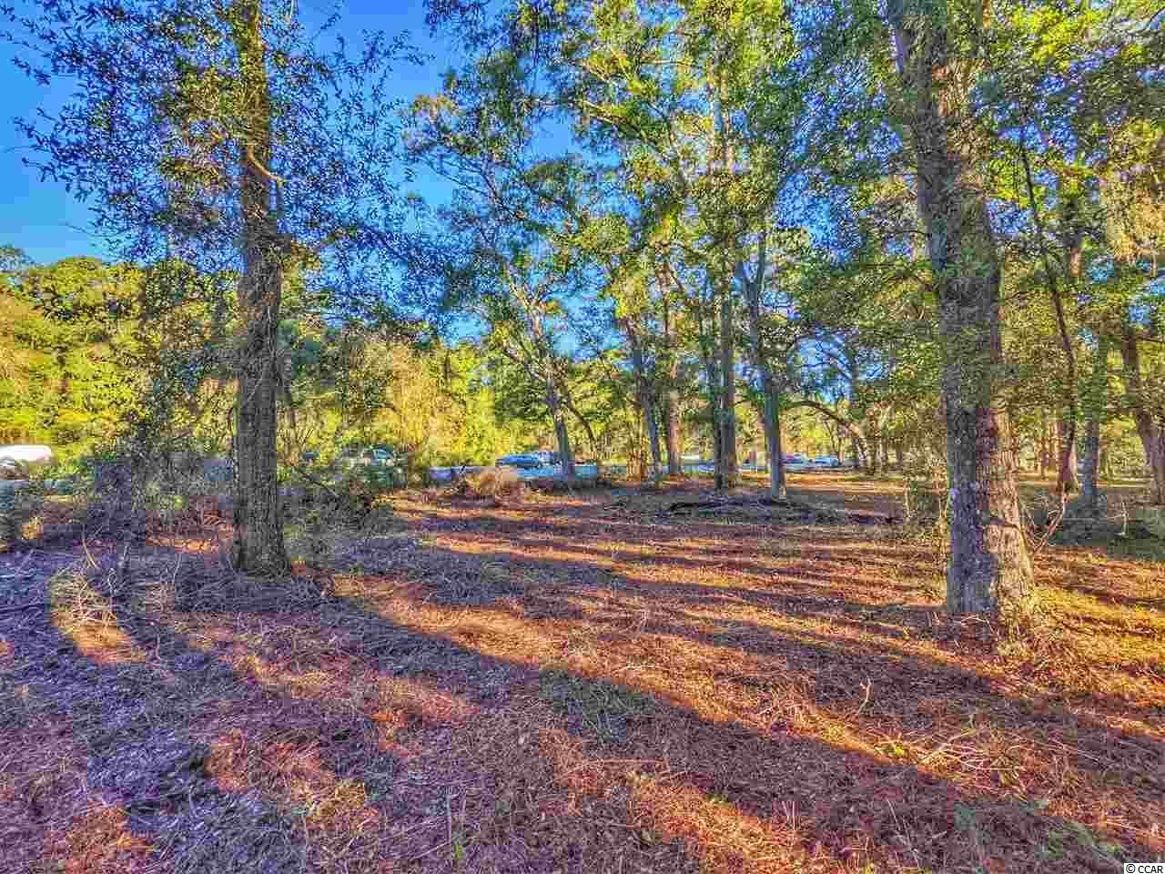 0 Ocean Hwy. Photo 37