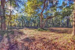 0 Ocean Hwy. photo 4