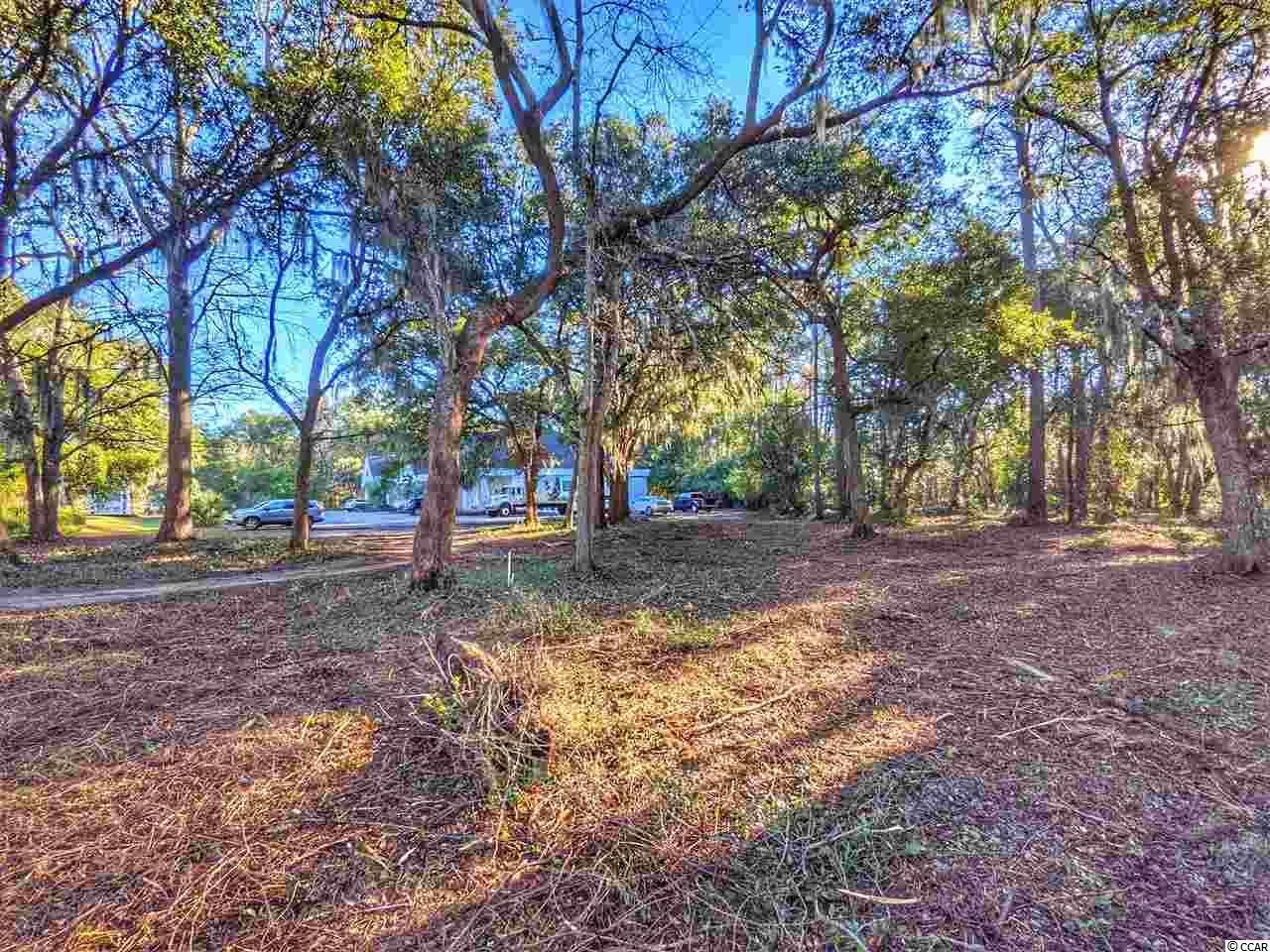 0 Ocean Hwy. Photo 5