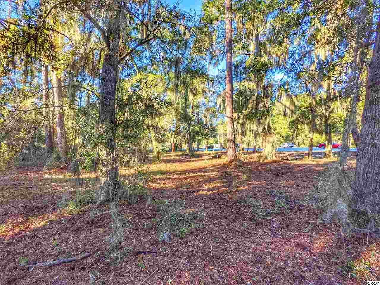 0 Ocean Hwy. Photo 6