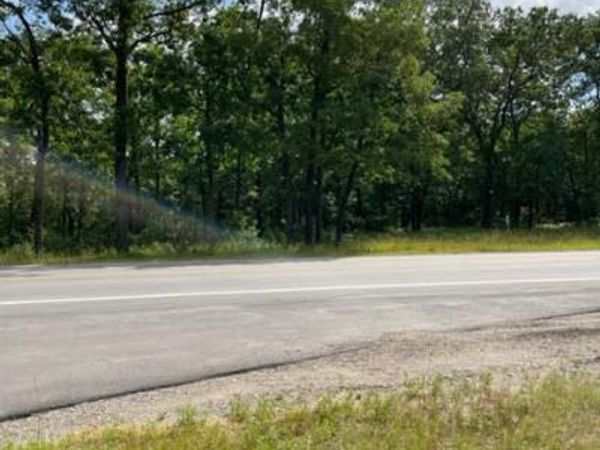 40 Acres M-55, Manistee, MI 49660