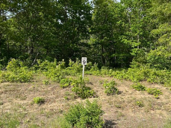 Lot 9 Renaissance, Manistee, MI 49660
