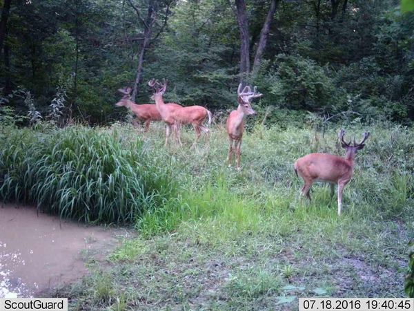 0 PETERSON ROAD, Gleason, WI 54435