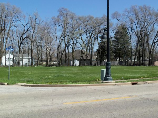 0 Tinman St/il Route 113, Diamond, IL 60416