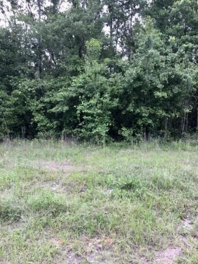 4057 E M Spence Road, Macclenny, FL 32063 Photo