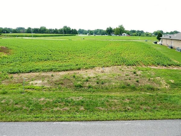 0 Station Crossing Lot 2, Waterloo, IL 62298