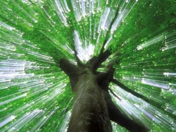 9TH Street, Covington, LA 70433