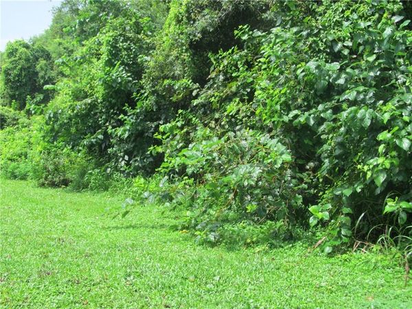 DONALD WINSTON Street, New Orleans, LA 70131