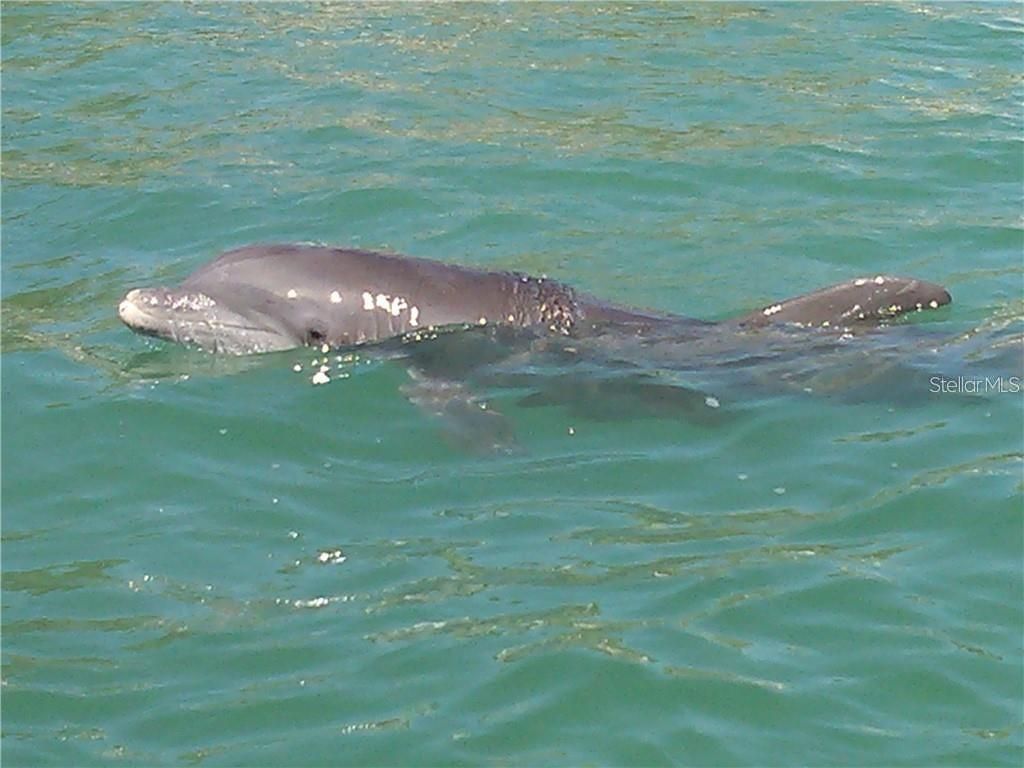 1760 Gulf Boulevard, Unit 601, Englewood, FL 34223 Photo