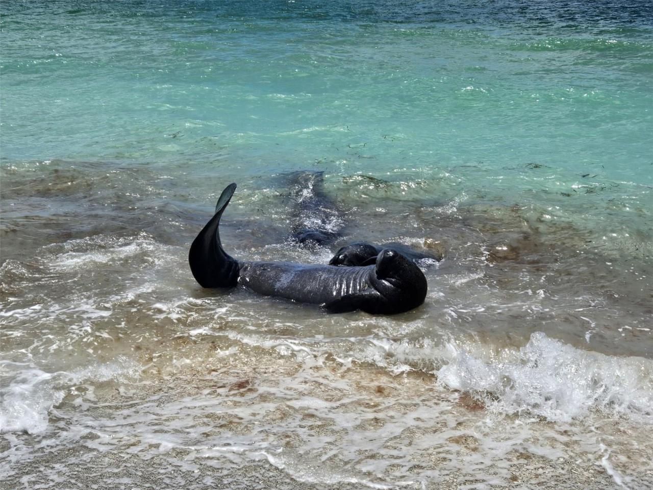 1760 Gulf Boulevard, Unit 601, Englewood, FL 34223 Photo