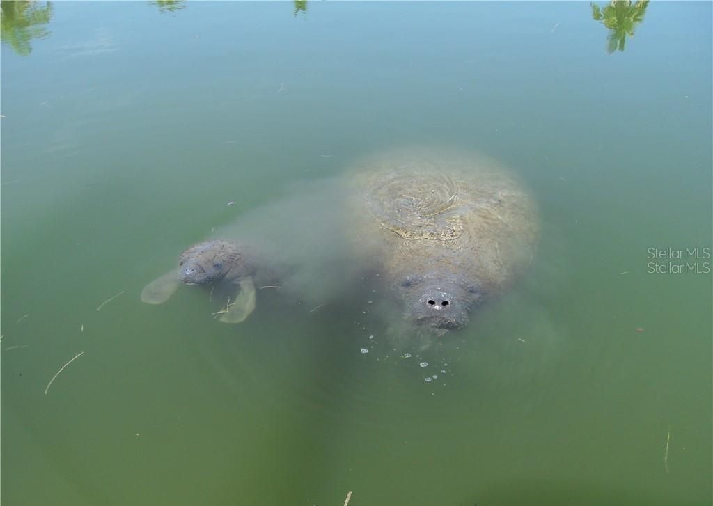 1760 Gulf Boulevard, Unit 601, Englewood, FL 34223 Photo