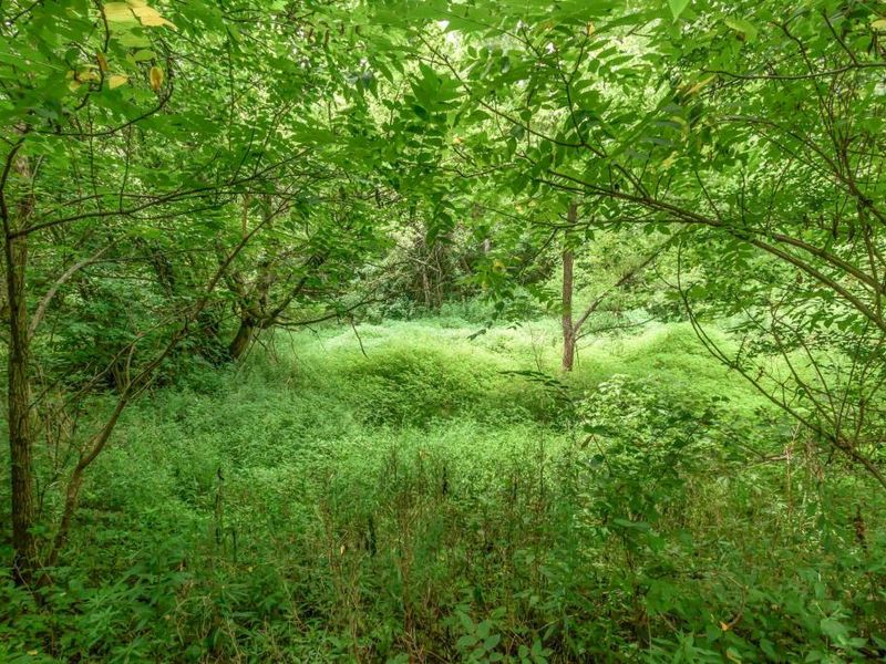 0 Olentangy River Road, Delaware, OH 43015 Photo 10