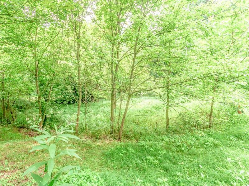 0 Olentangy River Road, Delaware, OH 43015 Photo 13