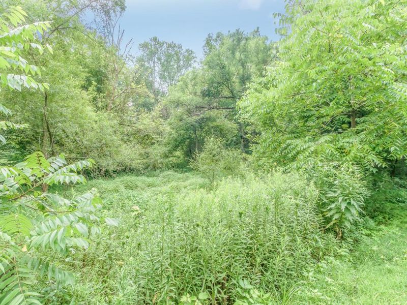 0 Olentangy River Road, Delaware, OH 43015 Photo 19