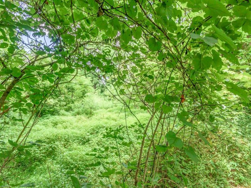 0 Olentangy River Road, Delaware, OH 43015 Photo 8