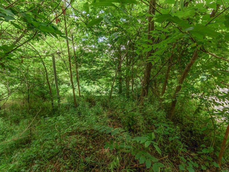 0 Olentangy River Road, Delaware, OH 43015 Photo 9