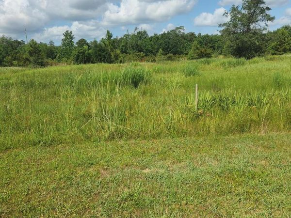 O Atlantis Drive, Bay Saint Louis, MS 39520