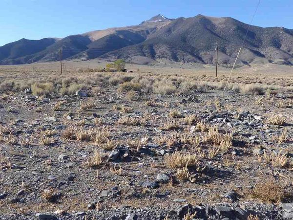 206 Toiyabe Street, Kingston, NV 89310