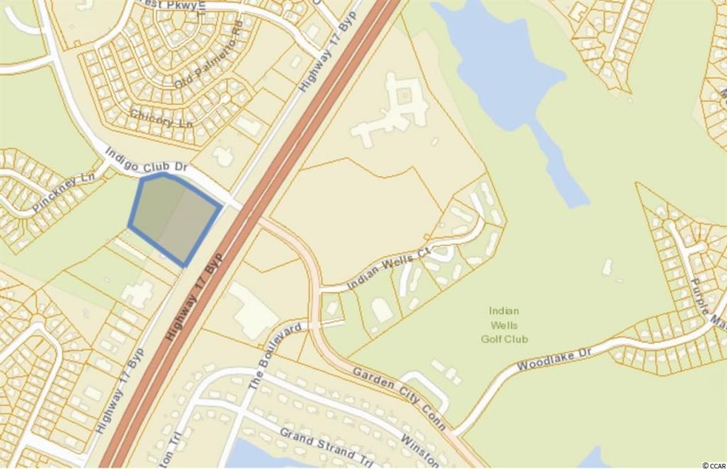 11500 Highway 17 Bypass Photo 6