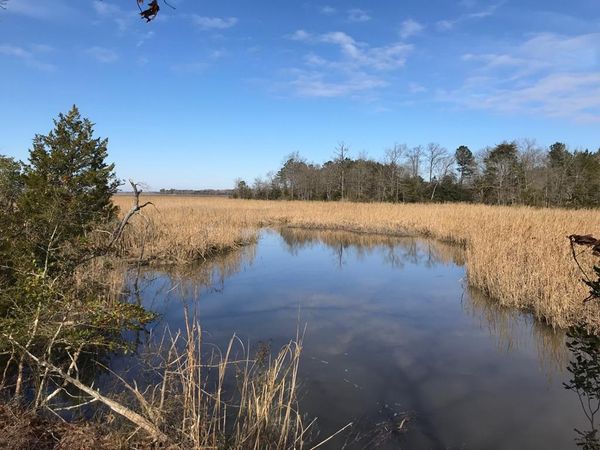 Lot 14 Goose Creek Rd, SHACKLEFORDS, VA 23156