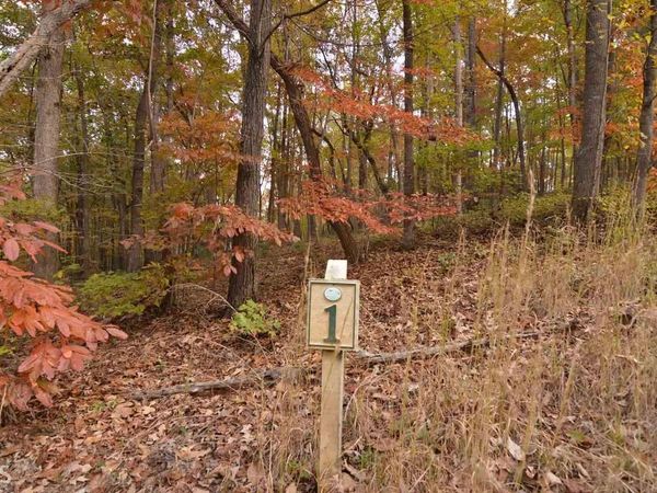 LOT 1 Serenity Ridge, Blairsville, GA 30512