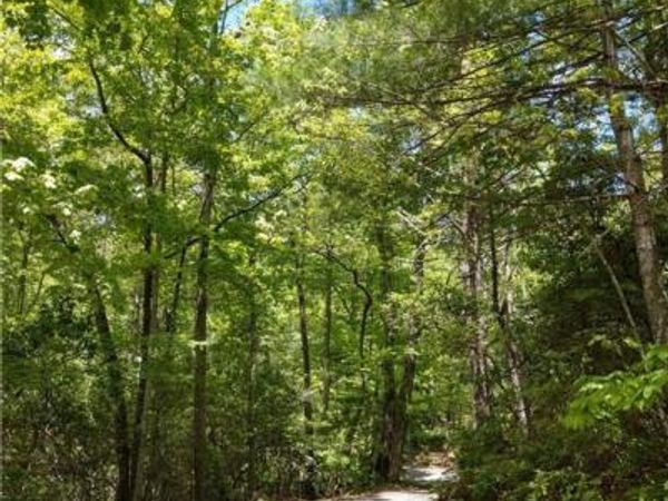 000 Dogwood Drive, Penrose, NC 28766