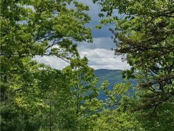 000 Dogwood Lane, Penrose, NC 28766