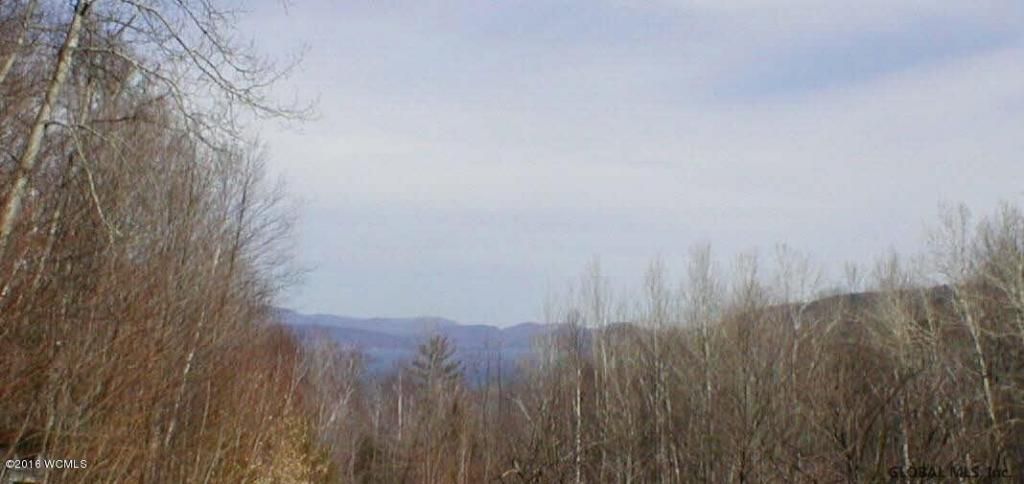 L20.2 Goldey Road, Huletts Landing, NY 12841 Main Photo