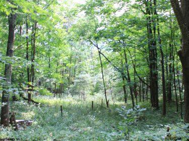Lot 7 High Mountain Road, Harman, WV 26270