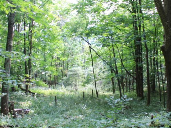 Lot 7 High Mountain Road, Harman, WV 26270