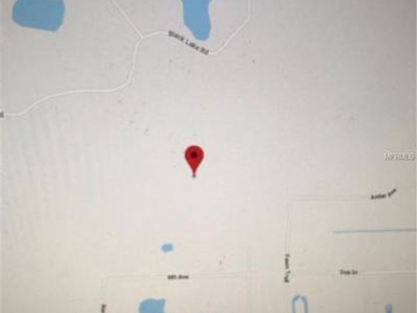 EUCALYPTUS PAPER LANE, OSTEEN, FL 32764