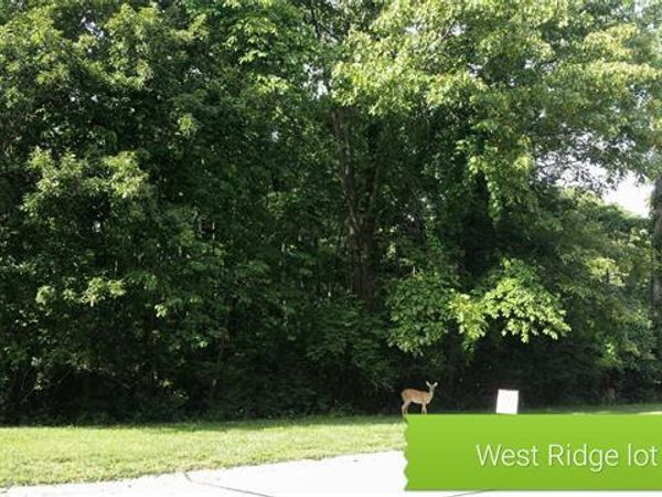 574 GRAFTON HILLS Drive, Grafton, IL 62037