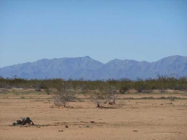 499th W US 60 & SR 71 Avenue, Unit -, Aguila, AZ 85320
