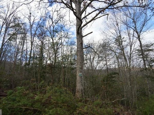 LOT 48 Laurel Brooke, Blairsville, GA 30512