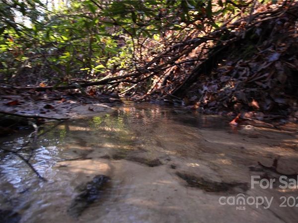 Lot 19 Gastons Bee Gum Road, Brevard, NC 28712
