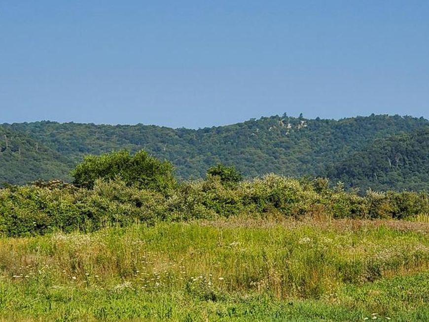 Lot 2 Sunrise Lane, Fort Loudon, PA 17224 Main Photo