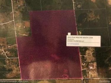 9343 FIVE MILE Road, Salem Twp, MI 48178