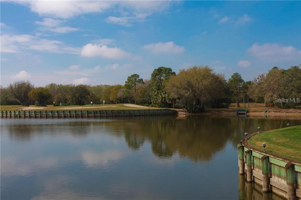 7725 Whitebridge Glen, University Park, FL 34201 Photo