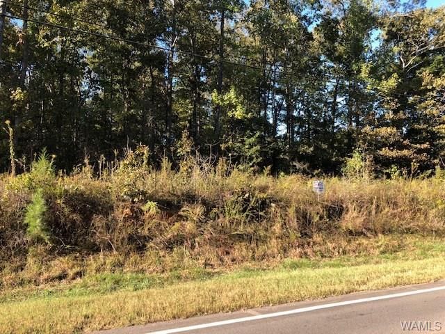 0 Daffron Road, Lot #1, Duncanville, AL 35456 Main Photo