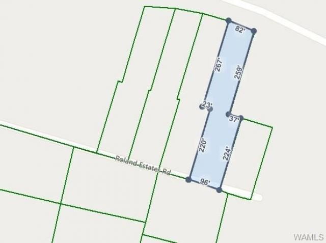 221 Roland Open Circle, Carrollton, AL 35447 Main Photo