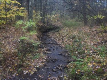 0 Crandall Rd & County Rd 37, Guilford, NY 13780