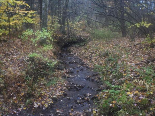 0 Crandall Rd & County Rd 37, Guilford, NY 13780