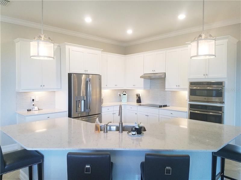 10908 Bullrush Drive, Venice, FL 34293 Photo