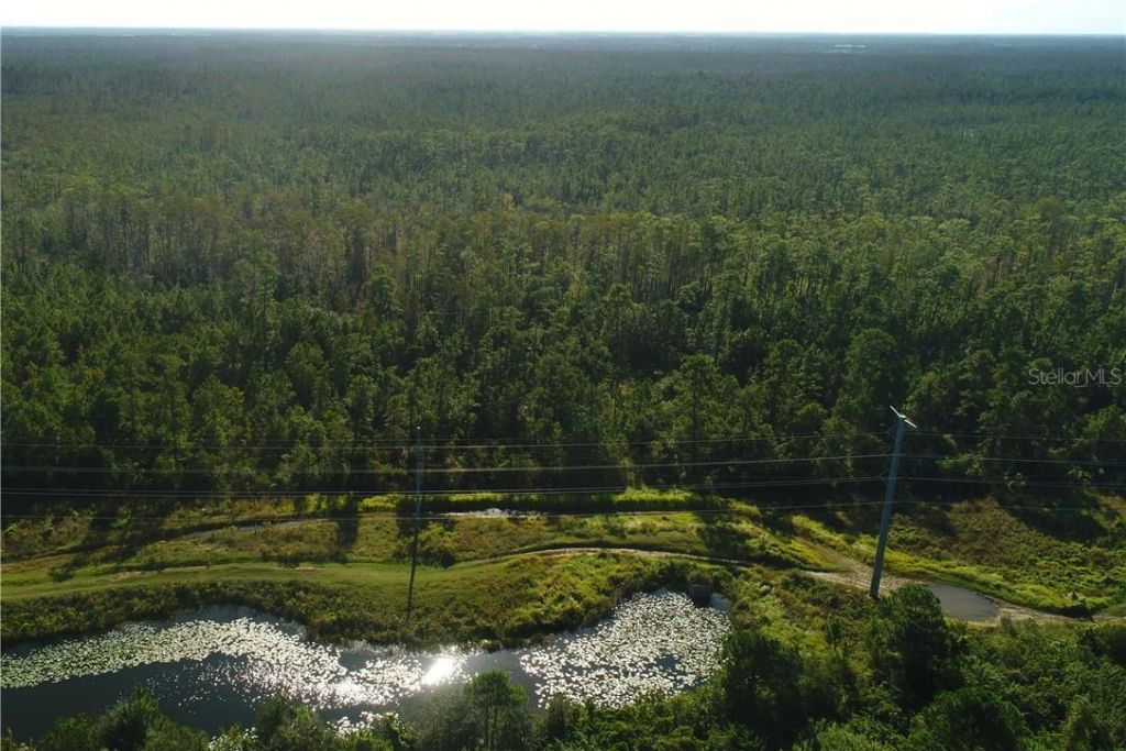 International Drive, Orlando, FL 32821 Photo