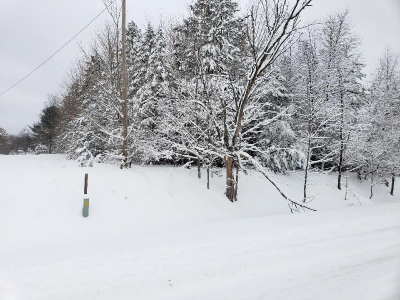 Chief Road, Kaleva, MI 49645 Main Photo