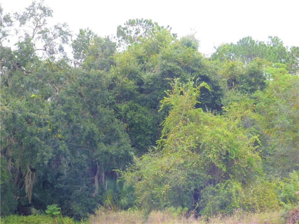 3131 Us Highway 441/27, Fruitland Park, FL 34731 Photo