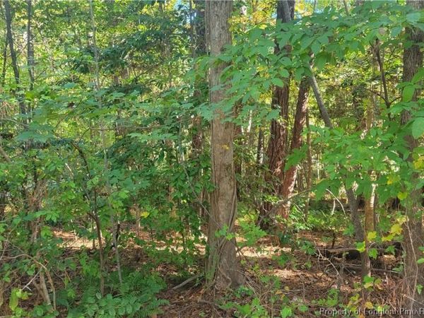 3201 Argyll Drive, Sanford, NC 27332