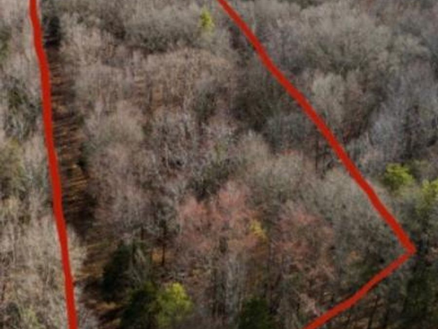 Property Image 4