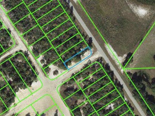 1015 Cr 29, LAKE PLACID, FL 33852