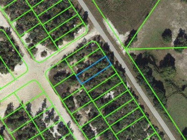 1021 Cr 29, LAKE PLACID, FL 33852